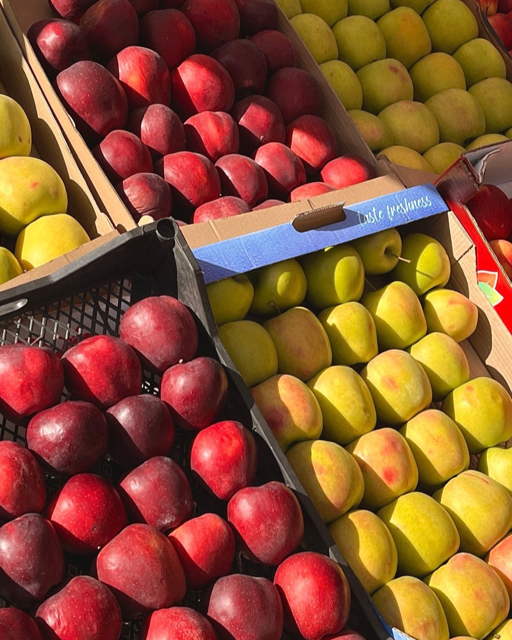 Cajones con duraznos y manzanas listos para despachar